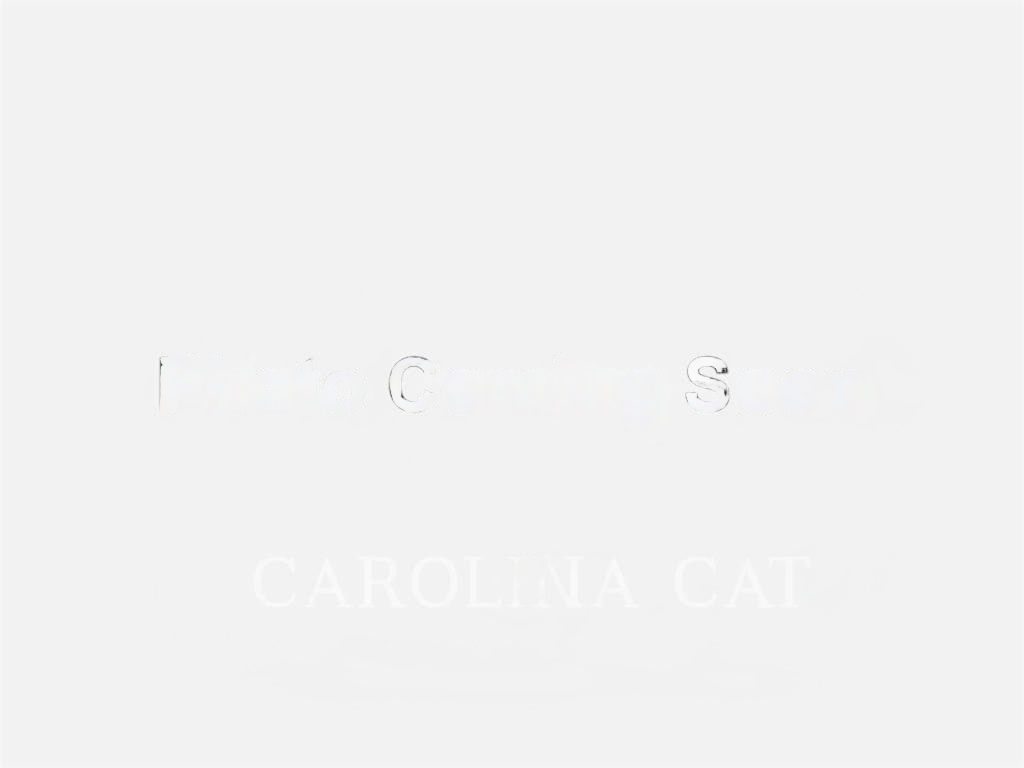 Used Backhoe Loaders for sale in North Carolina