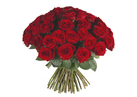bloemen online bestellen en bezorgen bloemen online bestellen en bezorgen