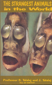 Image for The Strangest Animals in the World