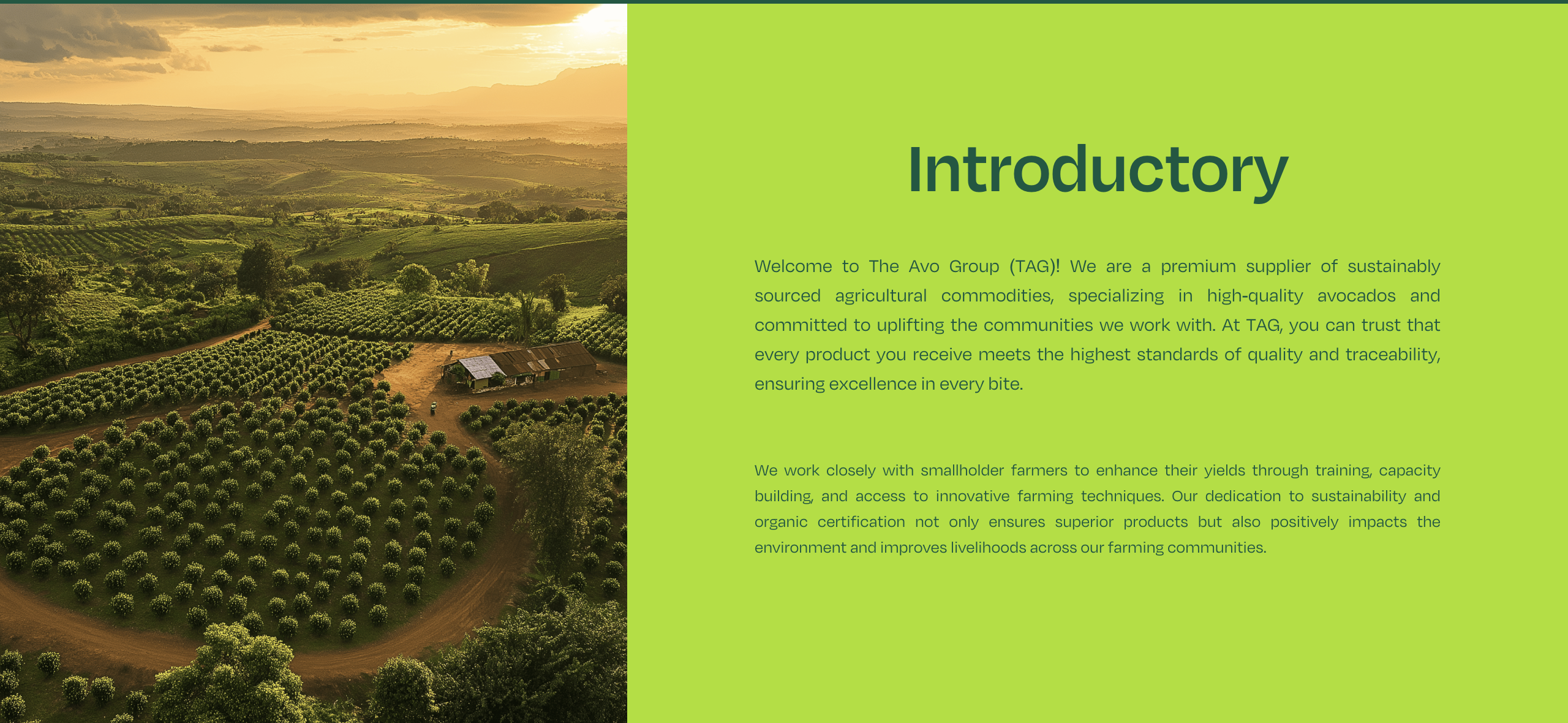 The Avo Group - Sustainable Avocado Platform screenshot 1