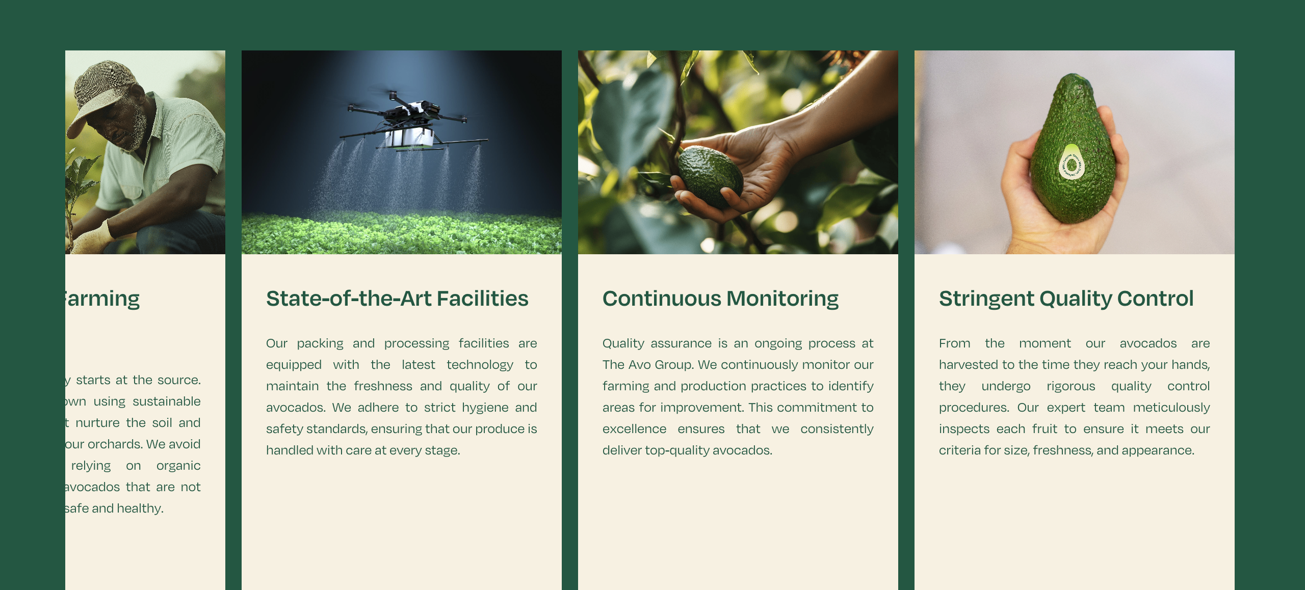 The Avo Group - Sustainable Avocado Platform screenshot 4