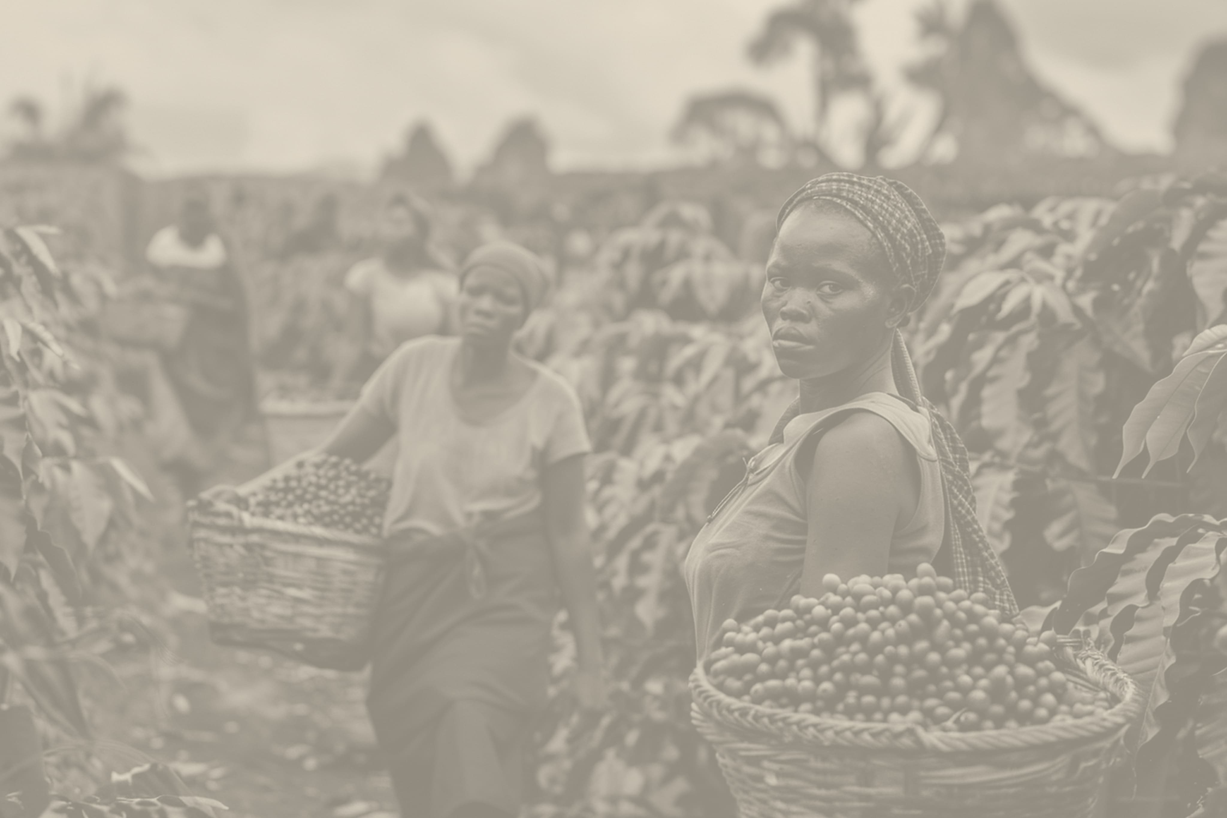 African farmers with harvest