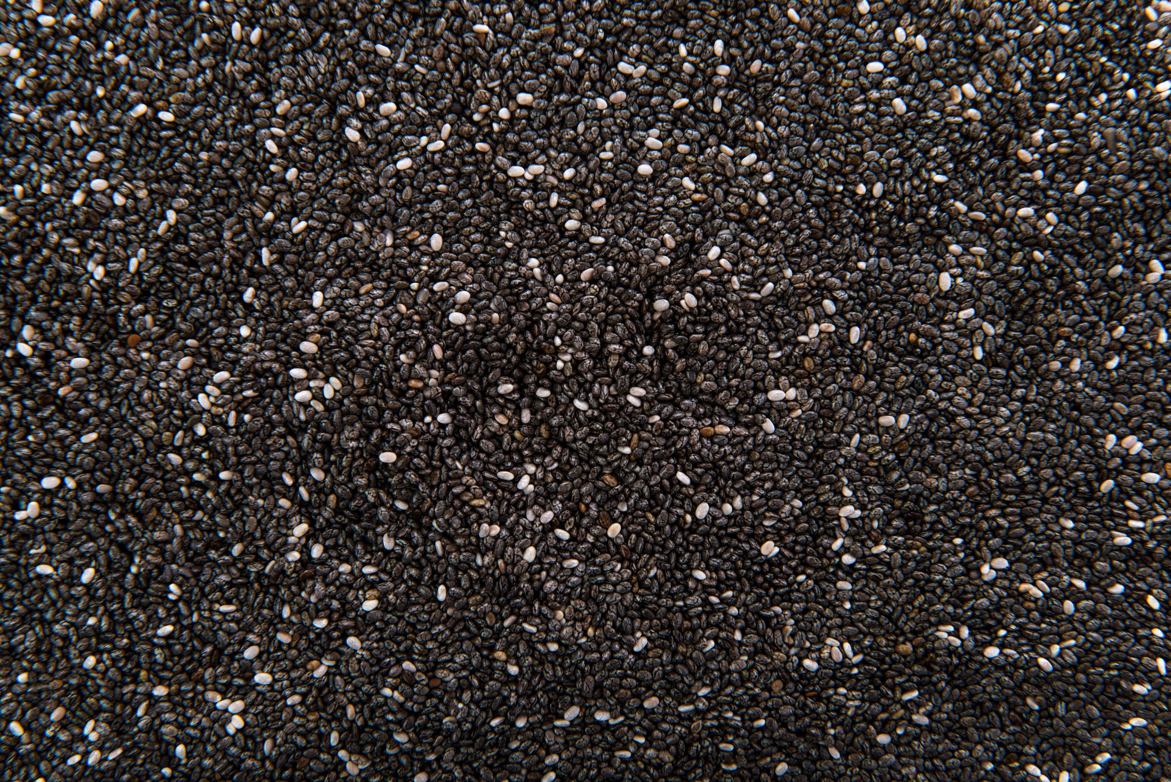 Oil Seeds