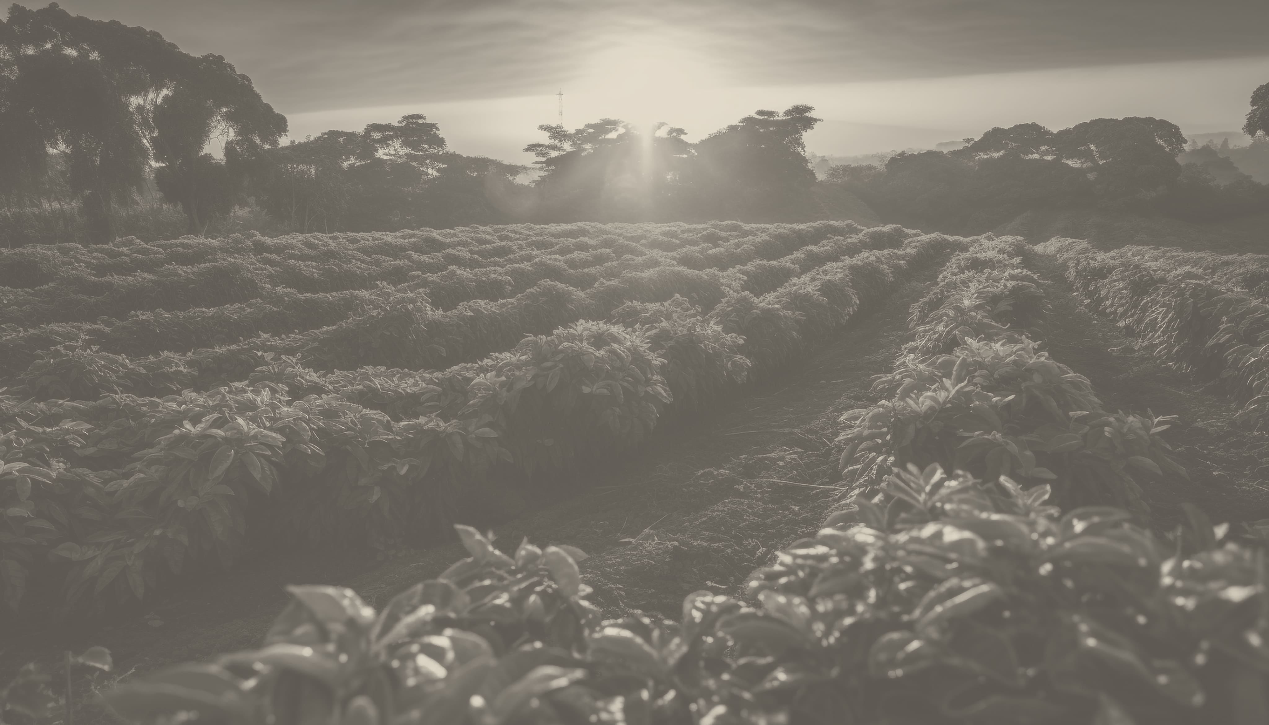 East African farmer with agricultural produce