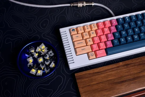 picture of a DSA Vilebloom keyboard