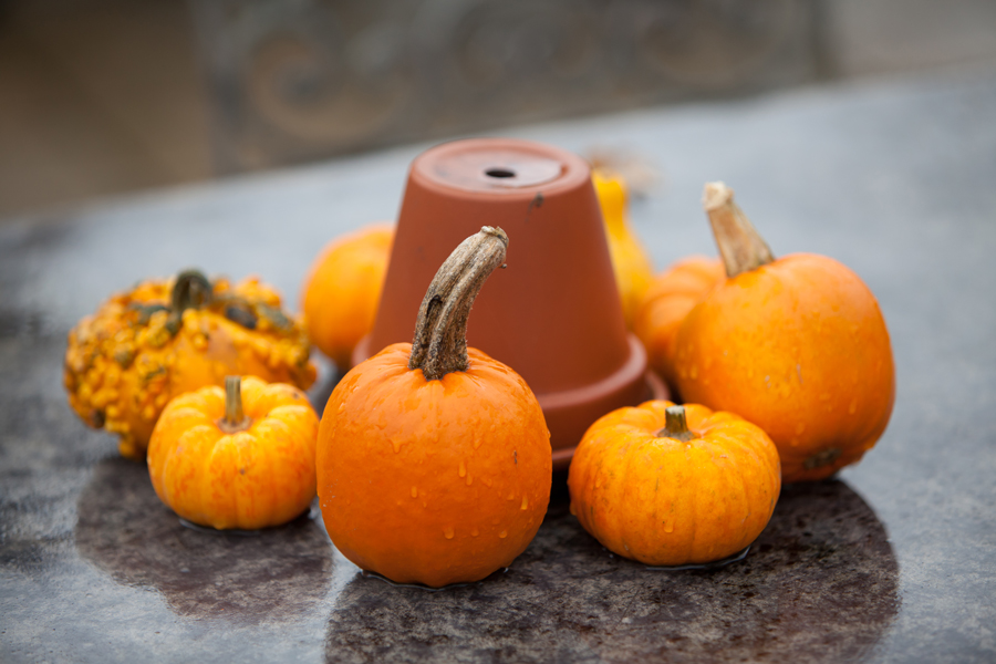 South East | Norfolk | Beccles | Autumn | DIY | Classic | Orange | Brown | Barn | Real Wedding | Si Grand Photography #Bridebook #RealWedding #WeddingIdeas Bridebook.co.uk 