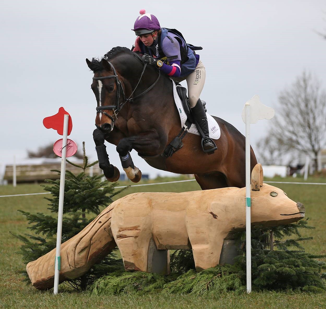 SWALCLIFFE PARK British Eventing