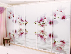 Изготовление, ремонт, модернизация торговой и корпусной мебели в Москве - Образцы