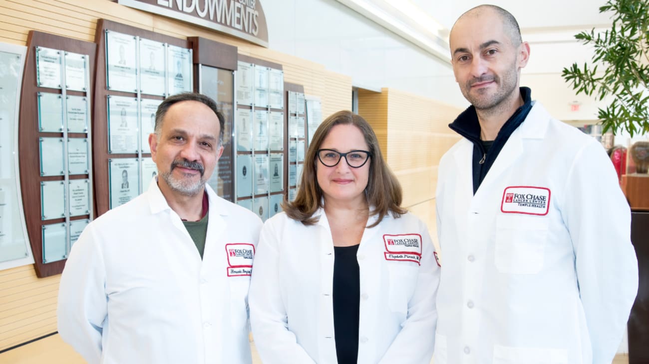 Borghaei-Plimack-Galluzzi Hossein Borghaei, DO, MS; Elizabeth Plimack, MD, MS; and Lorenzo Galluzzi, PhD, have been named to the 2024 list of Highly Cited Researchers by Clarivate, which identifies clinicians and scientists who have demonstrated exceptional influence.