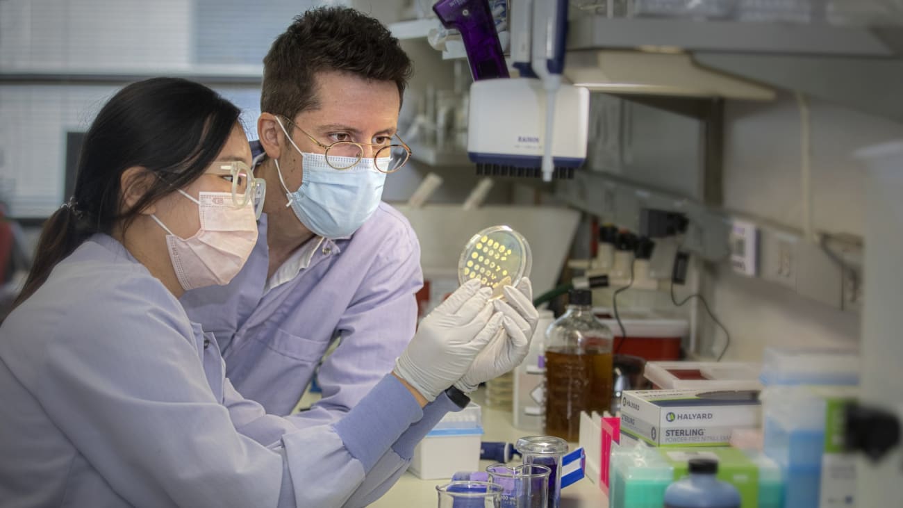 The grant-funded research is part of a growing research and education enterprise at Cedars-Sinai, where investigators conduct more than 2,500 research projects annually.