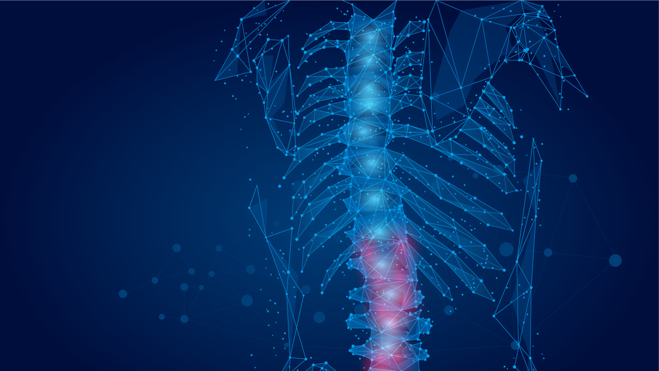 Spine