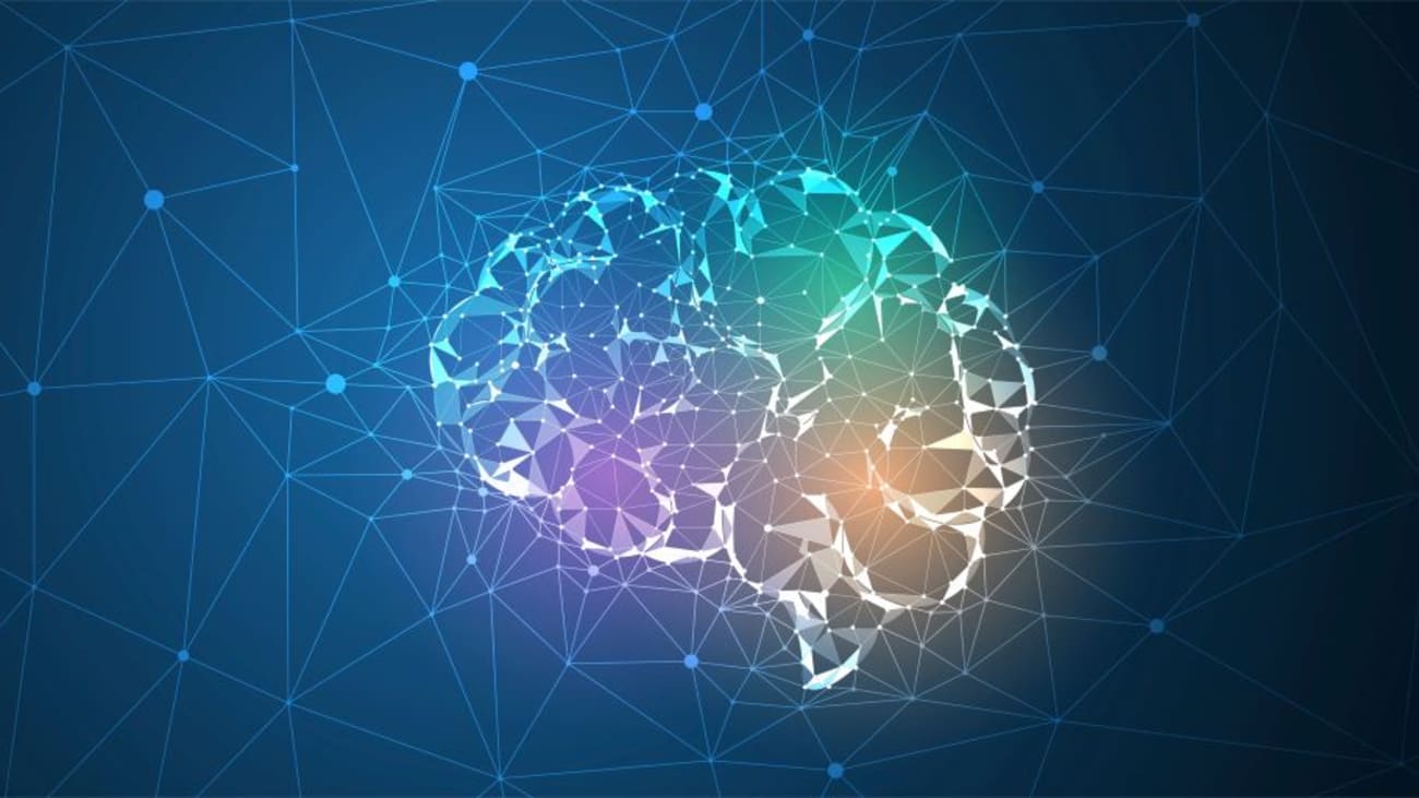 brain symposium