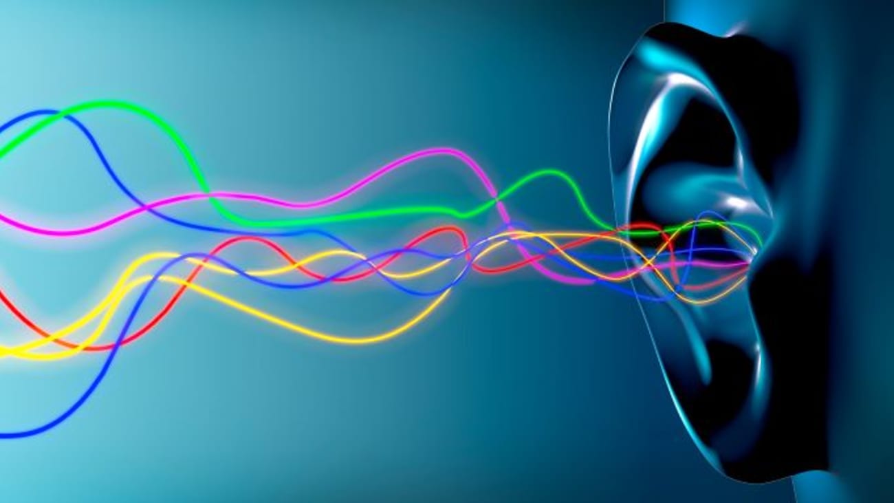 Researchers have found a gene that links deafness to cell death in the inner ear in humans – creating new opportunities for averting hearing loss