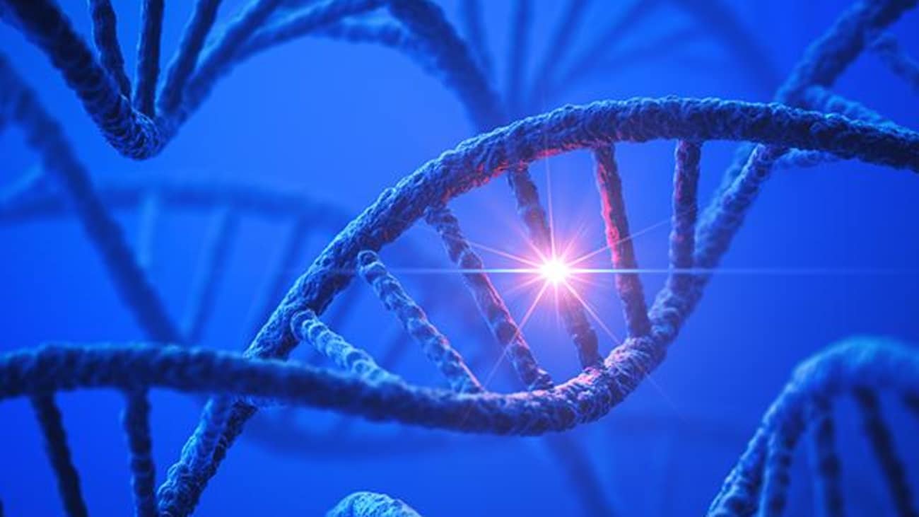 An artist's rendering of a DNA molecule, which can be re-engineered with CRISPR to test mutations.