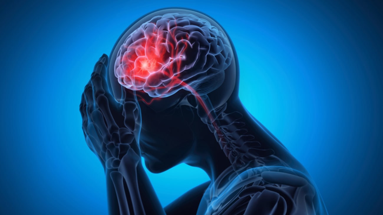 brain