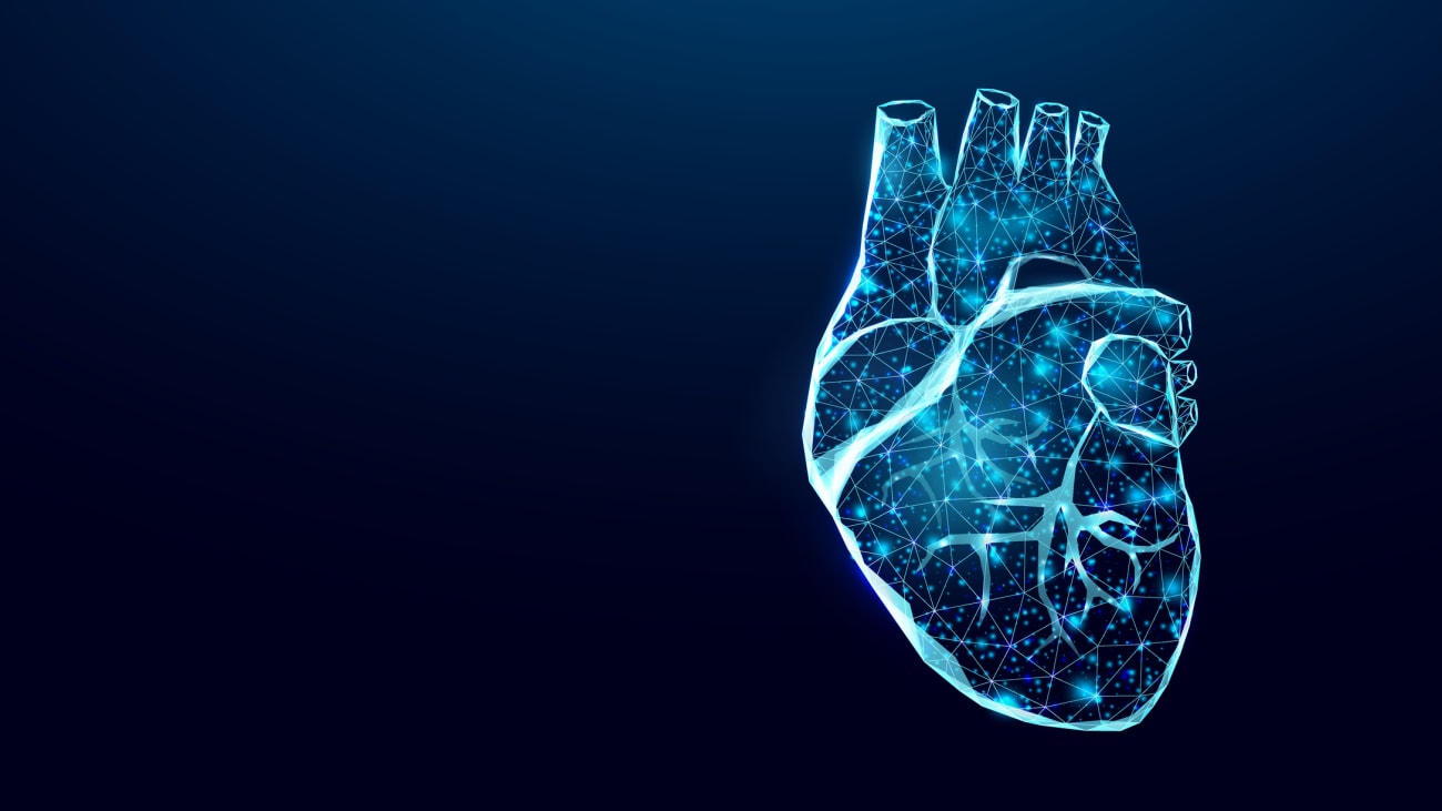 echo heart symposium