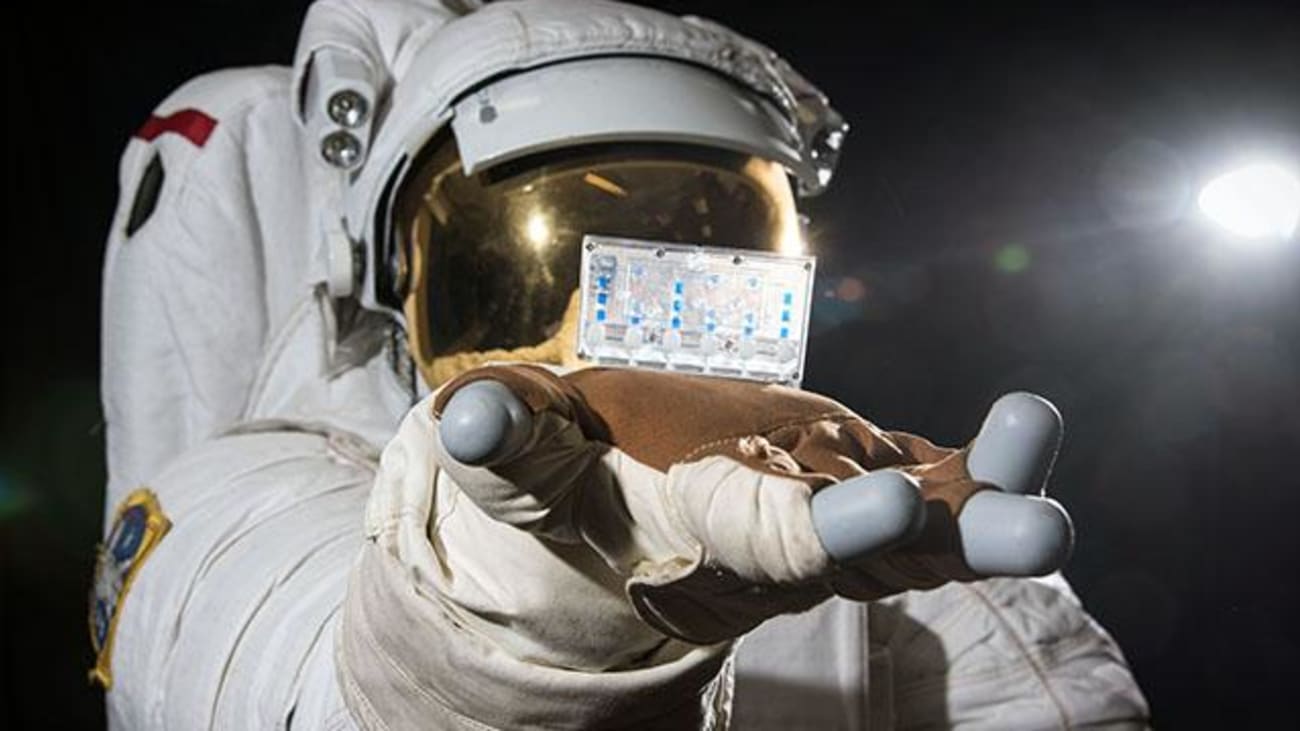 SpaceX Dragon An example of the kidneys on a chip that will be heading to the International Space Station is held out by an astronaut figure.