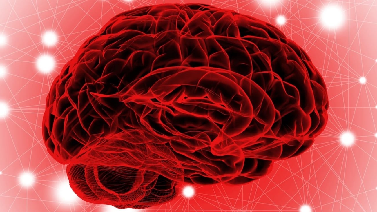 red-brain-header.jpg (Photo Credit: Getty Images)