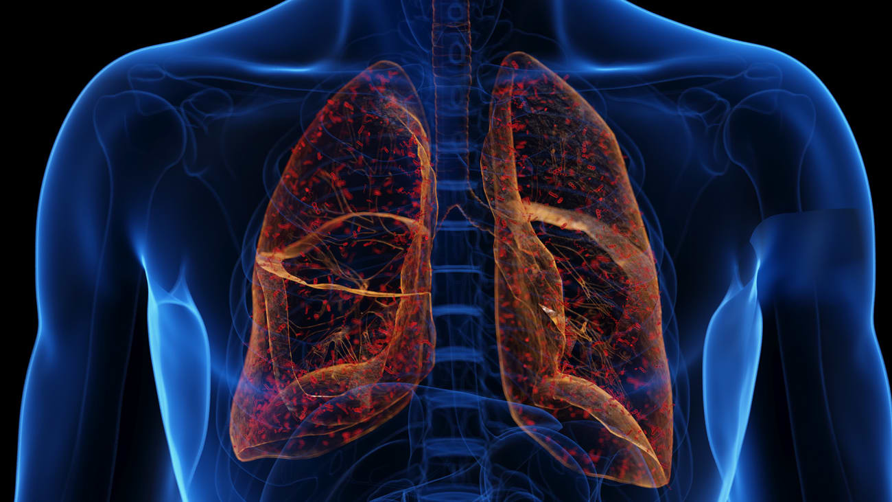 pulmonary