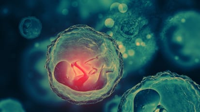 Principles of Teratology: From the Historical Perspective to the Modern Era
