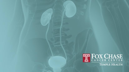 Optimizing Treatment Strategies for Metastatic and Non-Metastatic Prostate Cancer