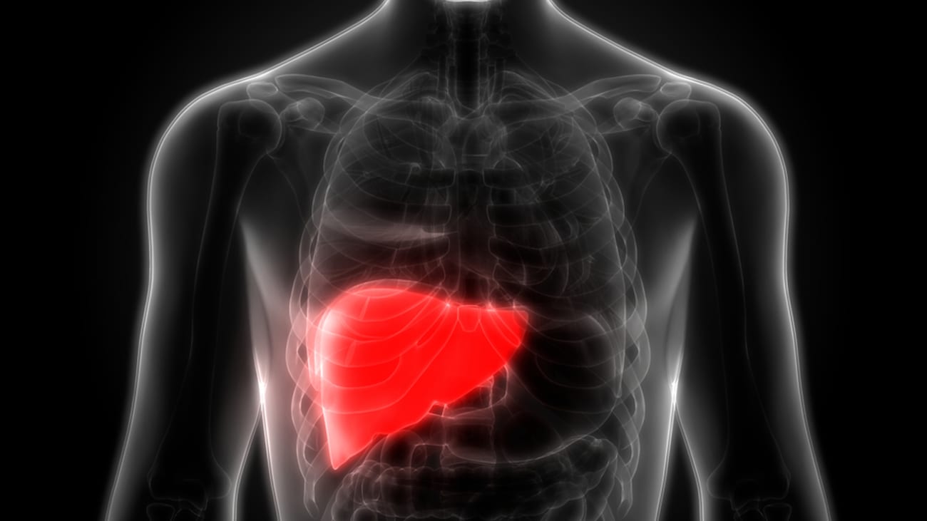 Hepatology and COVID19 Fatty Liver Disease Mayo Clinic