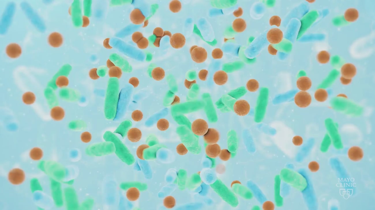 Inflammatory Bowel Disease Clinic Mayo Clinic