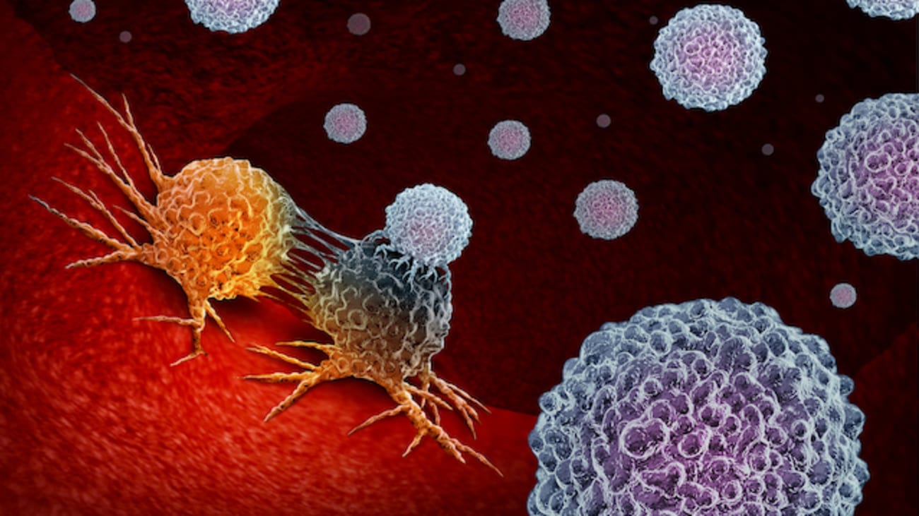 Immunotherapy In Pancreatic Cancer Checkpoint Inhibitors And Beyond Mark O Hara MD Penn 