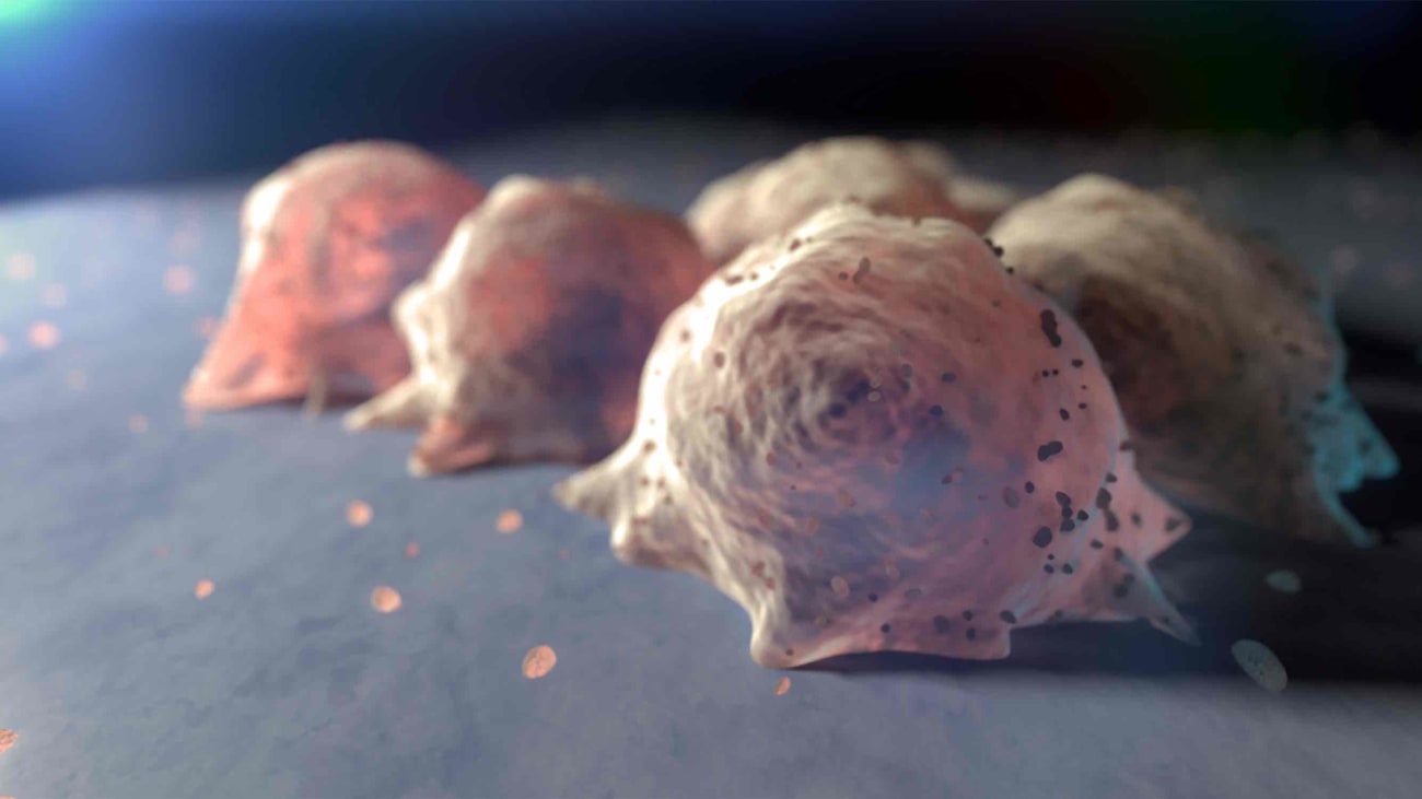 Pediatric Blood and Bone Marrow Transplantation Q&A Johns Hopkins