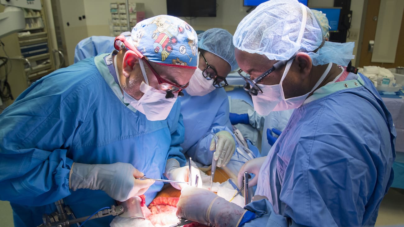 Test Transport Device Creates Hope For Liver Transplants Broadcastmed