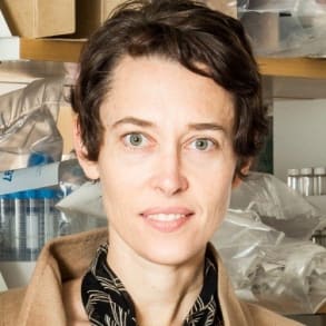 Jennifer Elisseeff, PhD