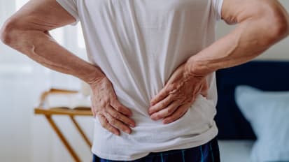 Lower Back Pain Linked to Subtype of Cells in Spinal “Shock Absorbers"