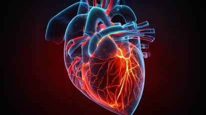 Harnessing Vascular Biology and Fluid Dynamics to Risk Stratify Patients With Acute Coronary Syndromes