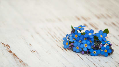 Forget Me Not: Novel Target Shows Promise in Treating Alzheimer's & Related Dementias