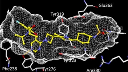 Targeted Agent Shows Early Promise Against a Dangerous Infant Leukemia