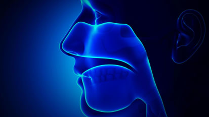 Otolaryngology - Head and Neck Surgery Specialty Report 2021