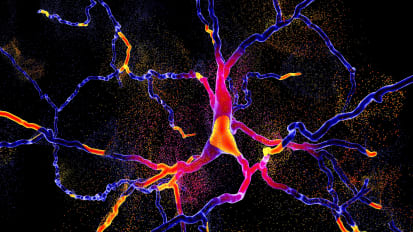 Adrenaline Research Offers Insight Into Pre-Diagnostic and Non-Motor Symptoms of Parkinson’s Disease