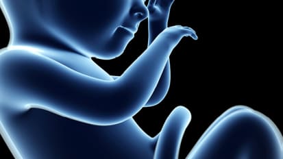 From Fetal Imaging to Beyond: A Multidisciplinary Approach