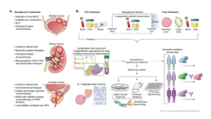 Expanding Preoperative Therapies to Kidney and Prostate Cancers: Bridging the Gap With Bladder Cancer Care