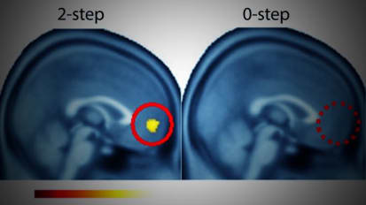 Exploring Social Interactions’ Links to Mental Health Through Computational Psychiatry