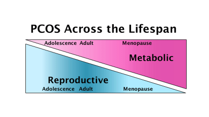 Calls for Further Study to Fill Knowledge Gaps on Cardiometabolic Risk in PCOS