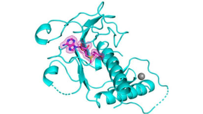 Mount Sinai Researchers Unravel the Crystal Structure of a Key Enzyme of SARS-CoV-2, Paving the Way for New Antivirals