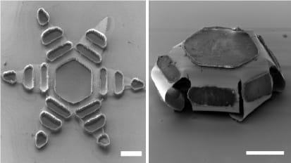 Johns Hopkins Researchers Engineer Tiny, Shape-Changing Machines That Deliver Medicine Efficiently to the GI Tract