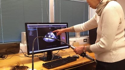 Picture-Perfect? Heart-Test Simulator Leaps Forward