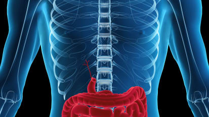 23rd Annual Educational Meeting in Gastroenterology