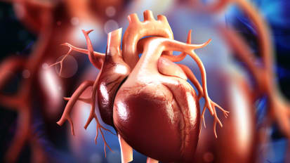 14th Annual Cardiovascular Disease Update: TRACK FIVE