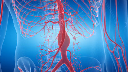 Leveraging Nature’s Success: Lessons from Modifiers of Marfan Syndrome and Related Aneurysm Conditions