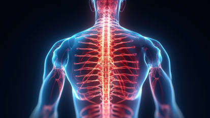 Novel Strategies to Enhance Plasticity after Spinal Cord Injuries