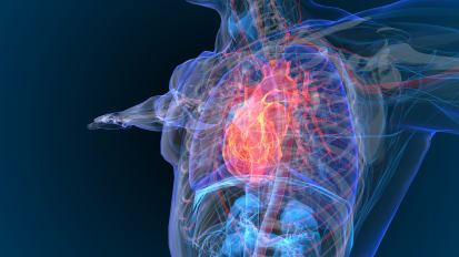2020 Virtual Cardiovascular Evening Symposium: Vascular Surgery & Heart Failure Updates
