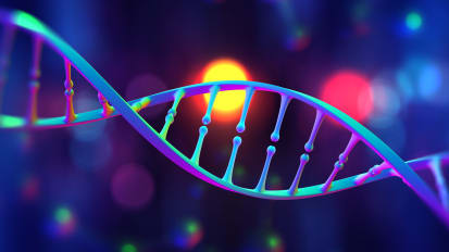 Transcription, Translation of DNA Contained in Viral Vector